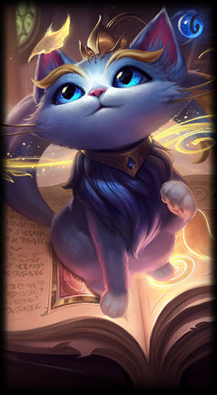 孔蒂的回归 孔蒂的回归